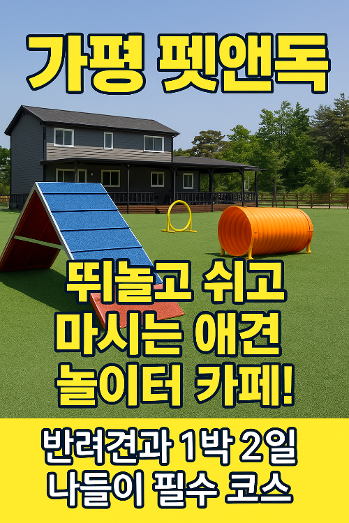 가평 펫앤독, 뛰놀고 쉬고 마시는 애견 놀이터 카페! 반려견과 1박 2일 나들이 필수 코스