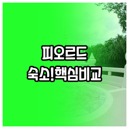 노르웨이 피오르드 숙소 5곳 비교 분..