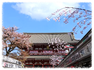 아사쿠사 & 센소지