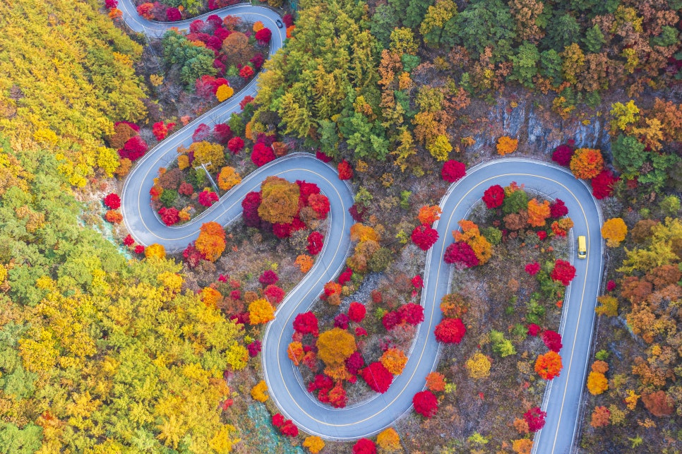 가을단풍드라이브