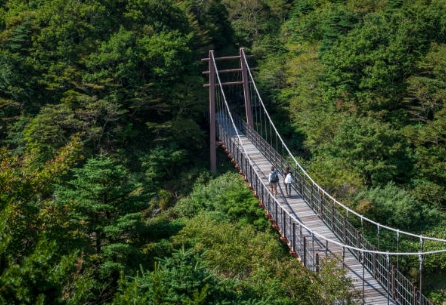 내장산 등산코스 총정리