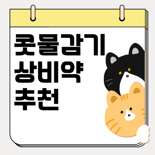 콧물 감기 약 추천, 감기 초기에 콧물 증상 제대로 잡아야 하는 이유