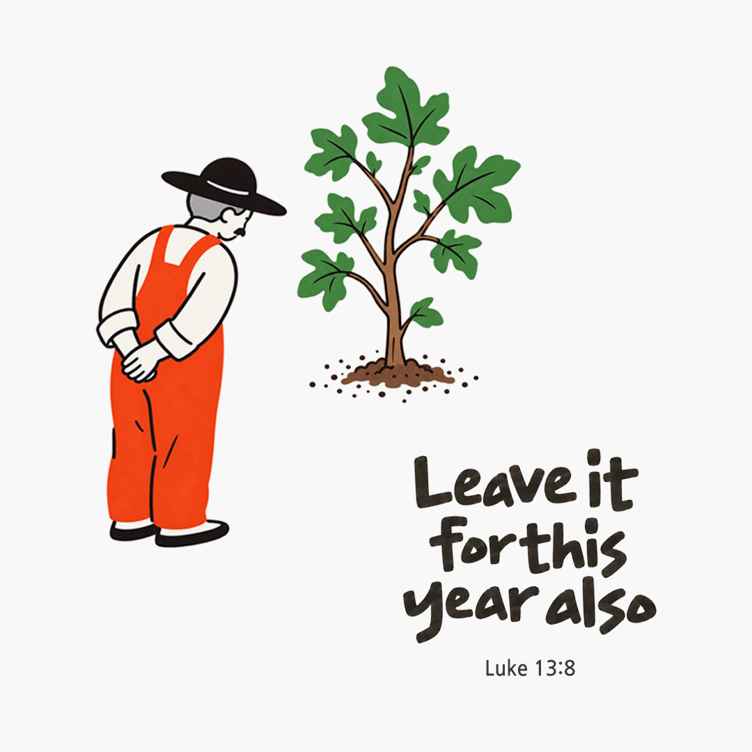 Leave it for this year also. (Luke 13:8) English Bible verse card