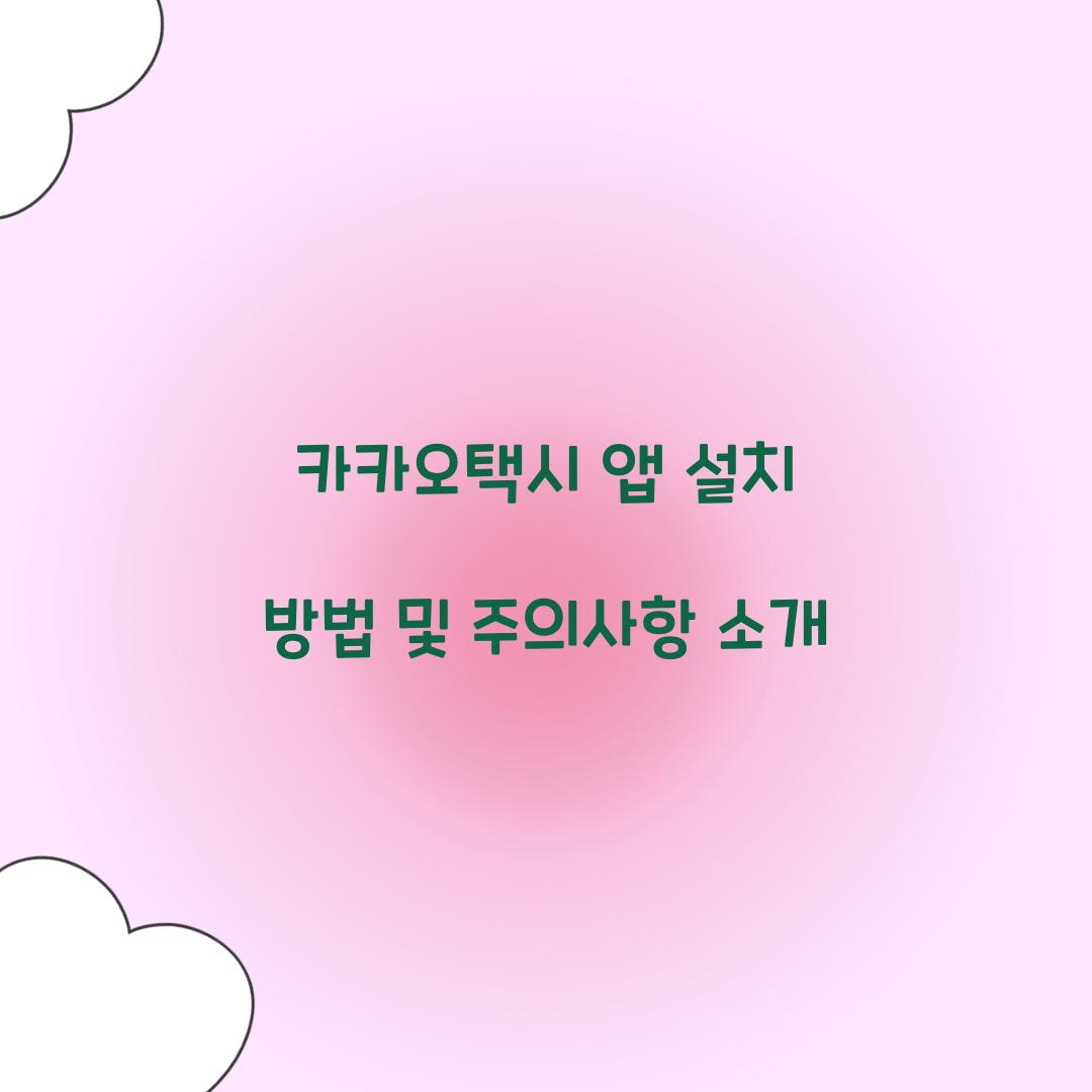 카카오택시 앱 설치