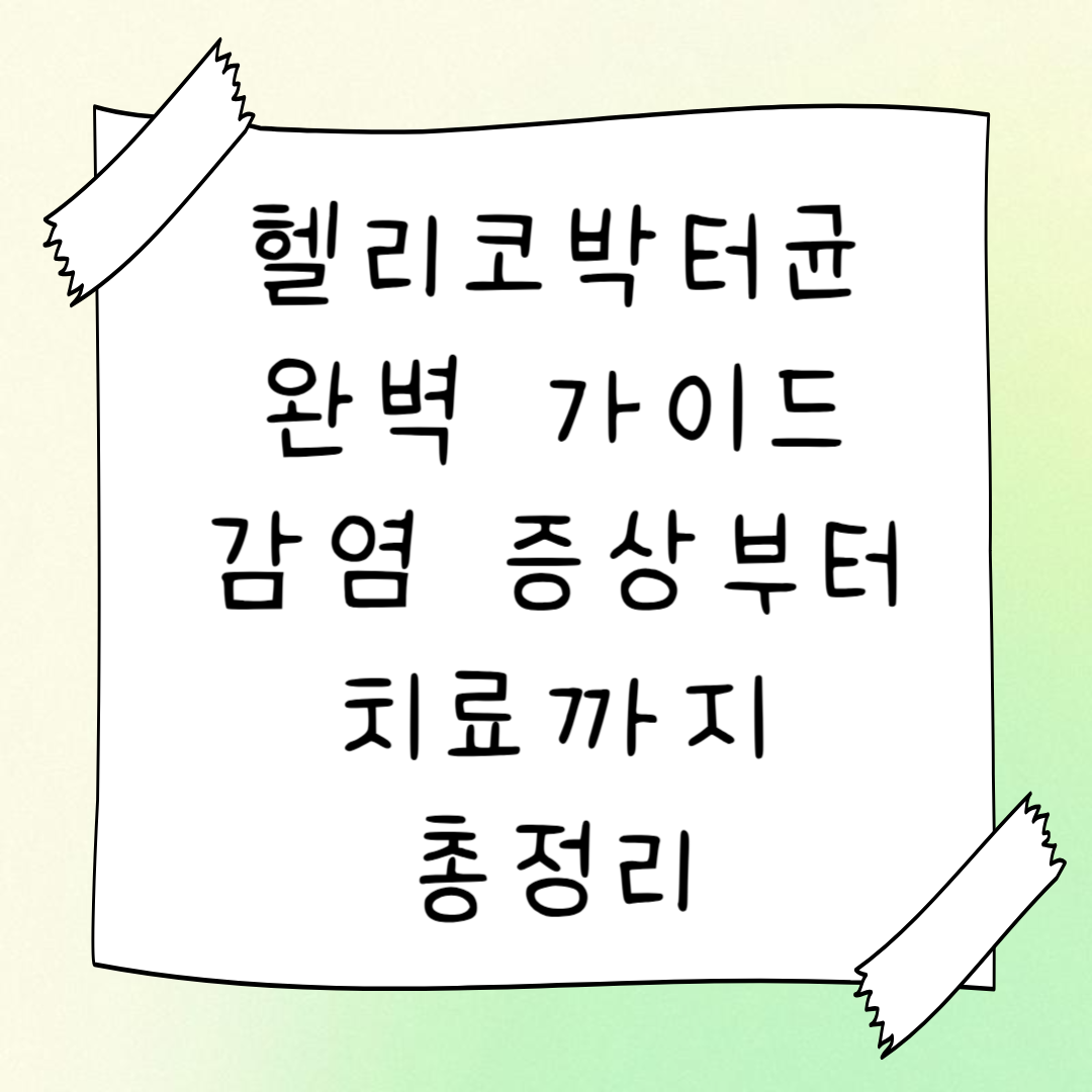 헬리코박터균 완벽 가이드: 감염 증상부터 치료까지 총정리