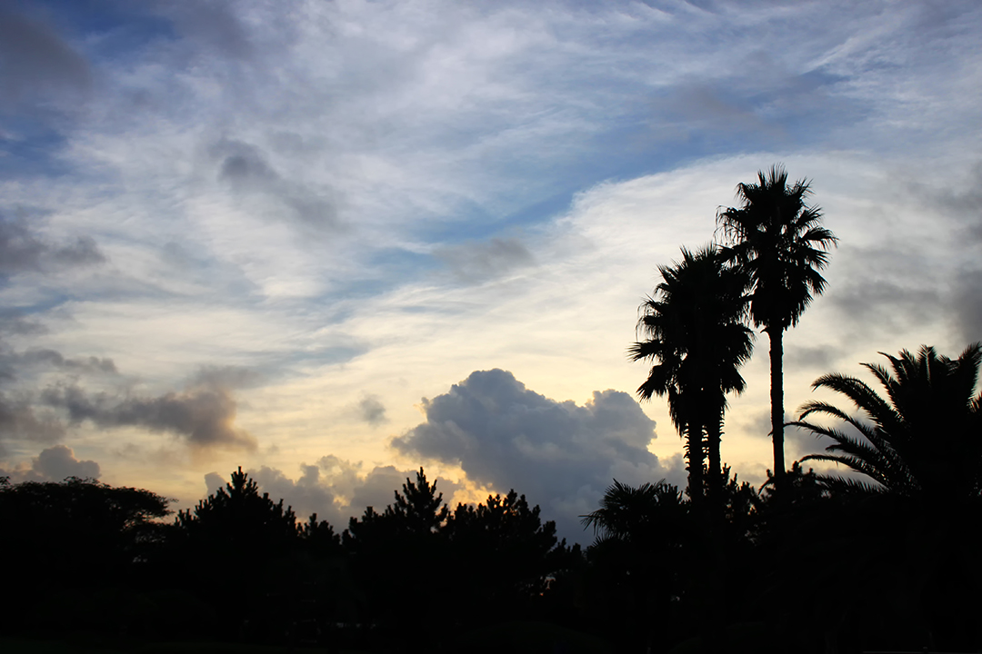 야자수와 구름 사이로 비치는 노을 풍경 저작권 없는 고화질 무료 이미지
