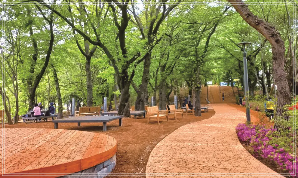 batch_img_info1_11_05_02_06