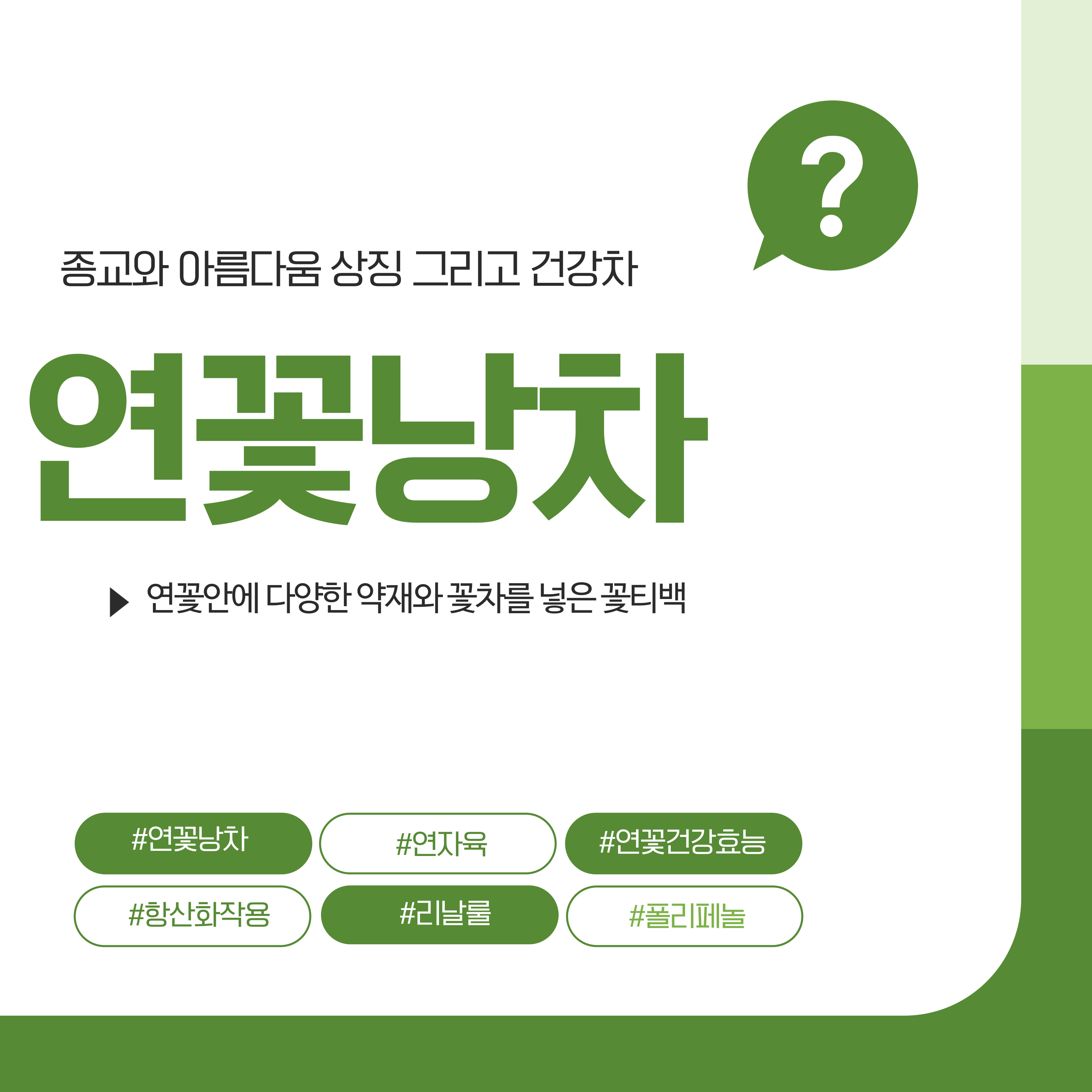 연꽃의 건강효능과 연꽃낭차 만들기