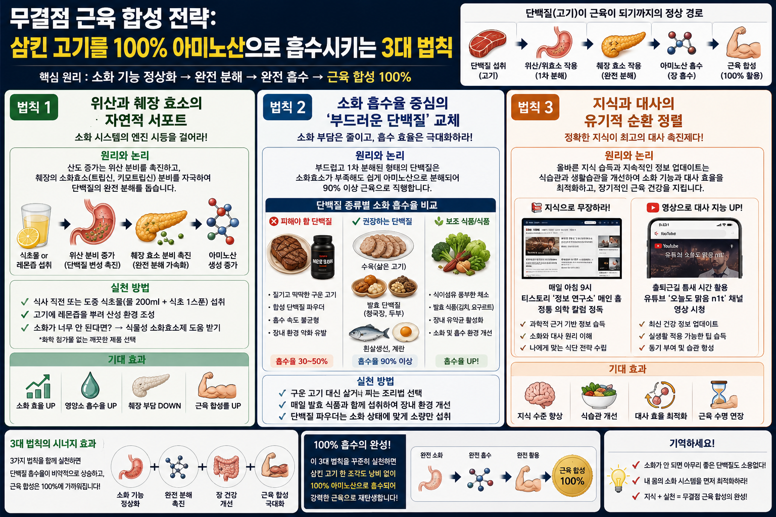 삼킨 고기를 100% 아미노산으로 흡수시키는 3대 법칙