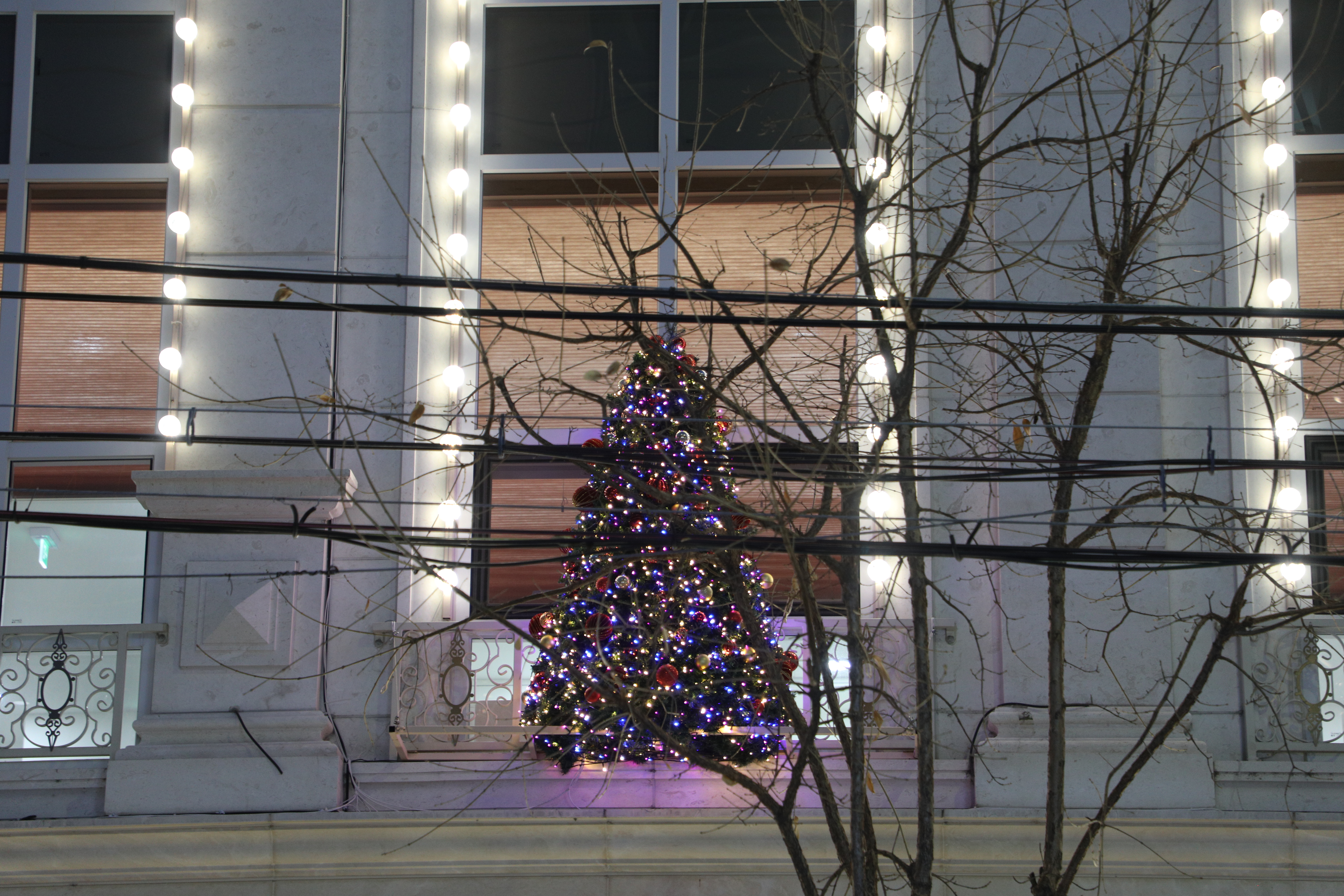 올네이션스목자의기도원-성탄점등식