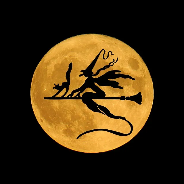 챌린지 뜻 5가지 상황별 해석과 예문_5