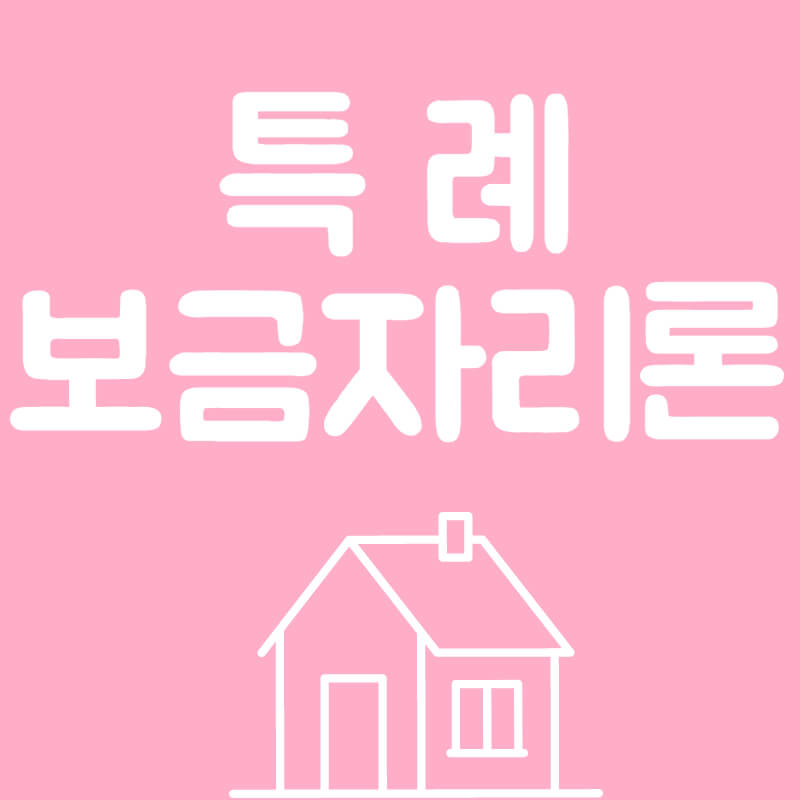 특례 보금자리론