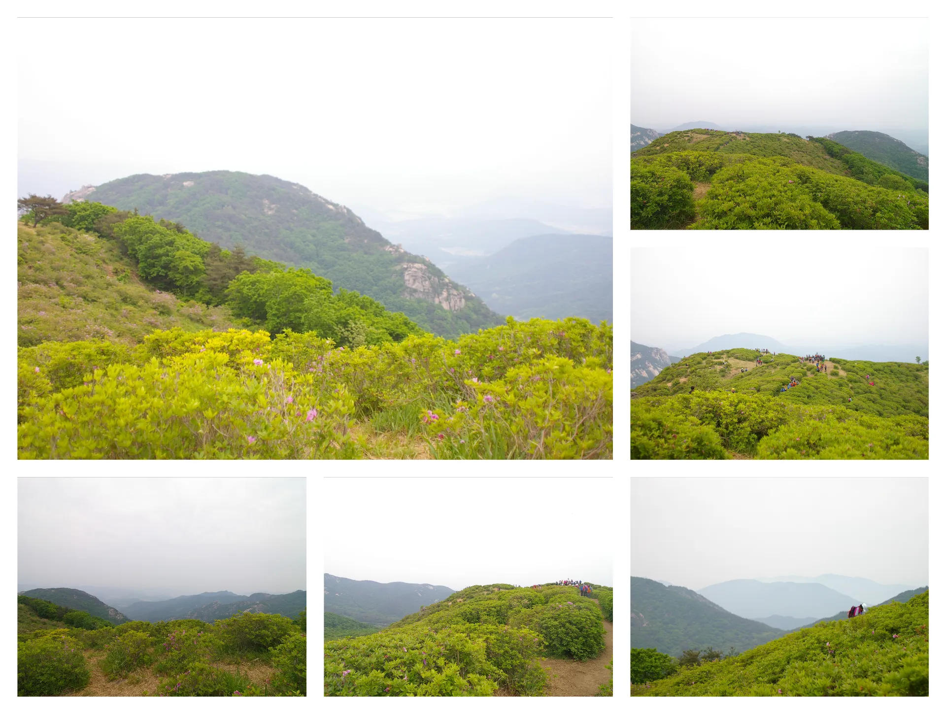 여름 황매산