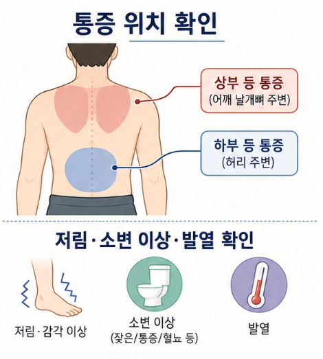 등 통증의 위치와 함께 저림, 발열, 소변 이상 같은 동반 증상을 확인하는 방법을 정리한 이미지
