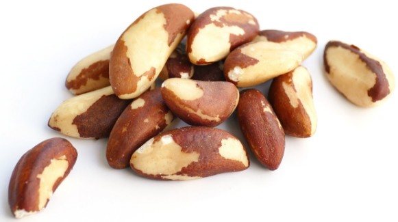 견과류 하루 섭취량 - 브라질너트 하루 섭취량 / 칼로리