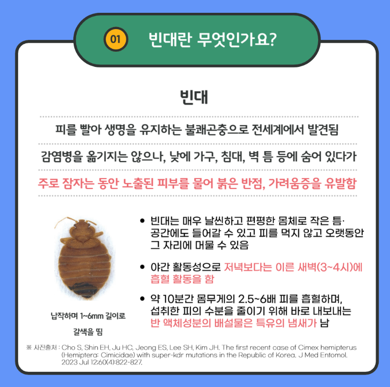 빈대란?