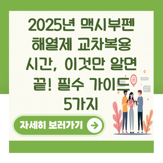 2025년 맥시부펜 해열제 교차복용 시간, 이것만 알면 끝! 필수 가이드 5가지 대표 이미지
