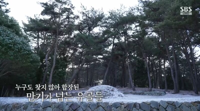 꼬꼬무 &lsquo;소록도&rsquo; 편 리뷰: 유리병 태아와 잃어버린 가족의 기록