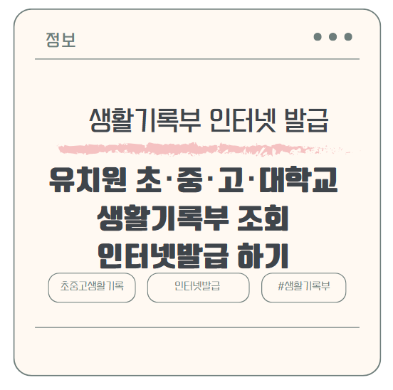 유치원 초⬝중⬝고등학교 대학교 생활기록부 조회 인터넷발급 하기