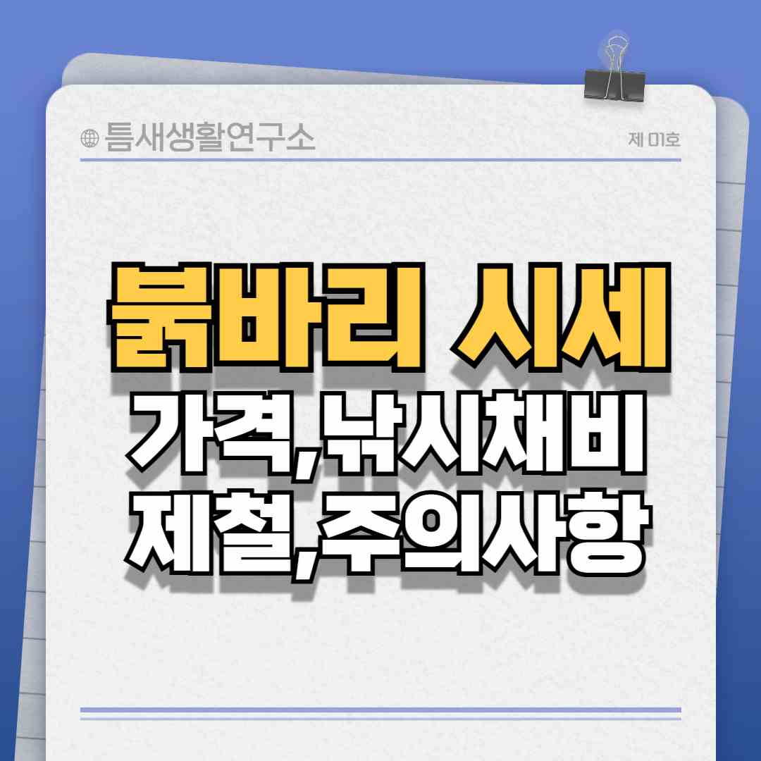 붉바리시세-썸네일