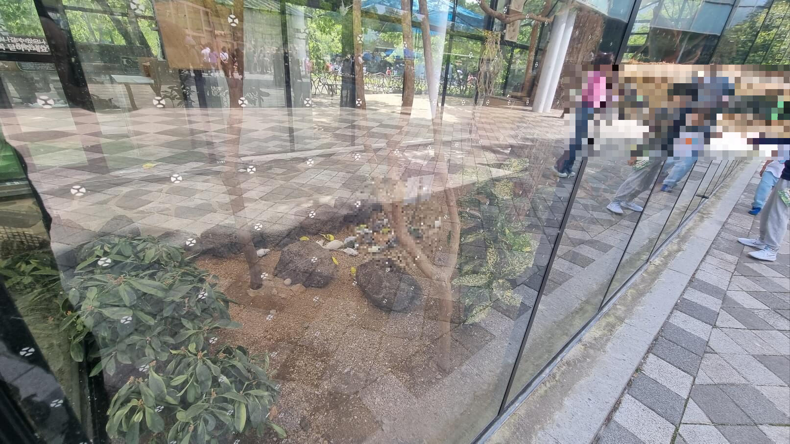 순천만국가정원 서문 동물원