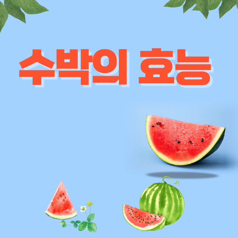 수박의 놀라운 효능