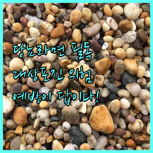 당뇨병 환자에게 대상포진이 위험한 이..