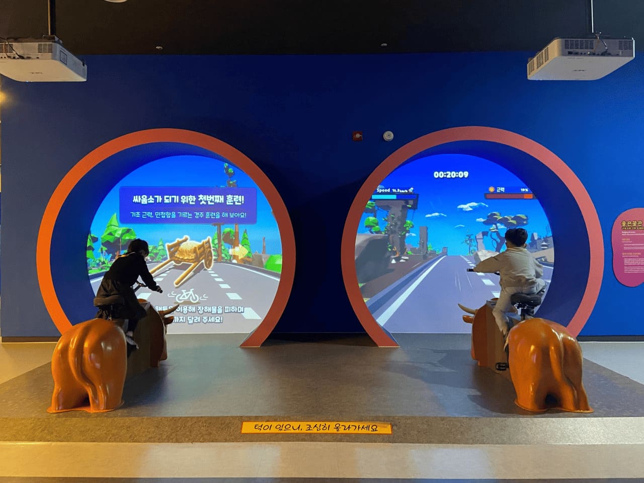 청도 소싸움 미디어체험관