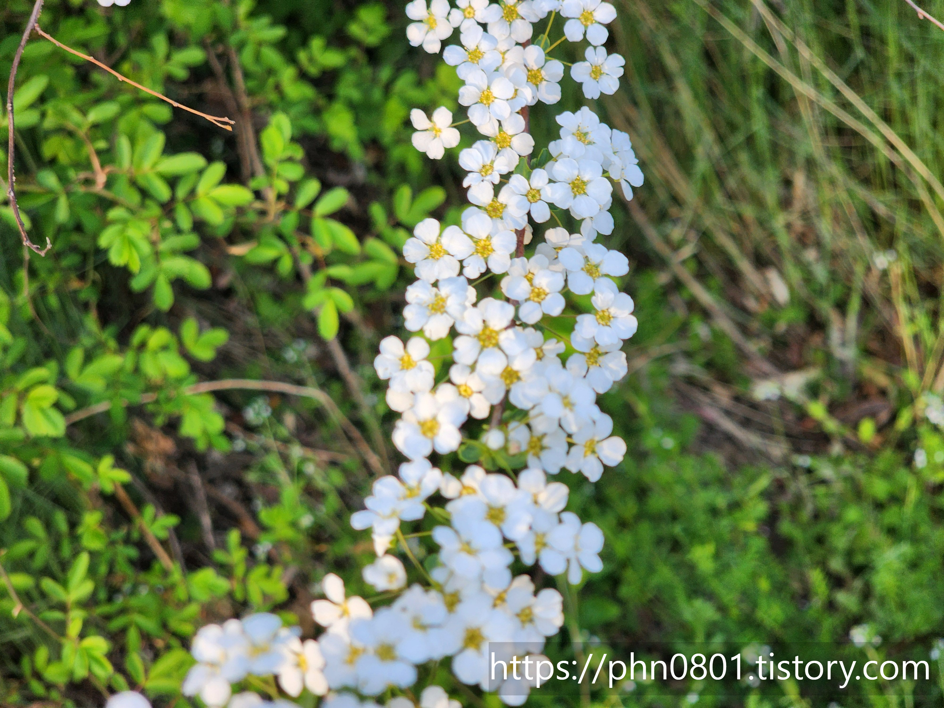 Alt 속성 문제 해결 설명 이미지