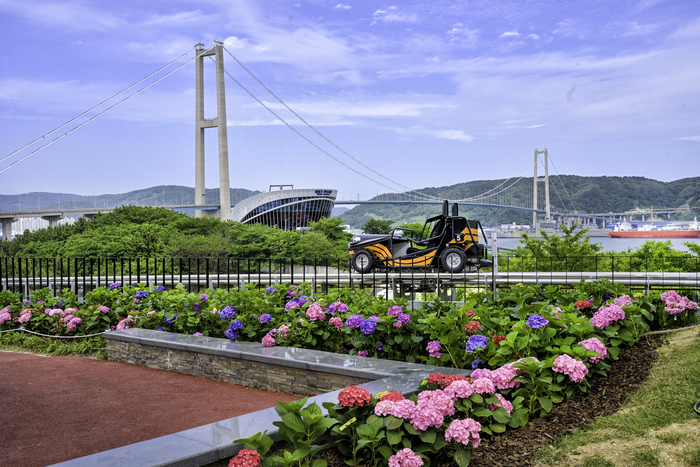 장생포 수국축제 울산