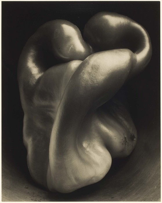 Pepper by Edward Weston