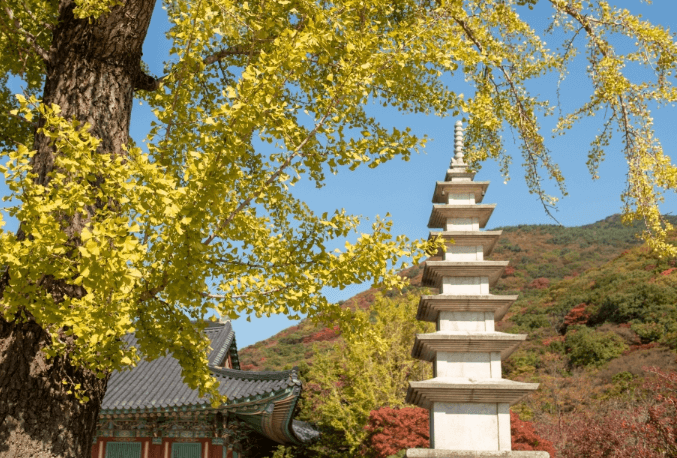 부산 범어사