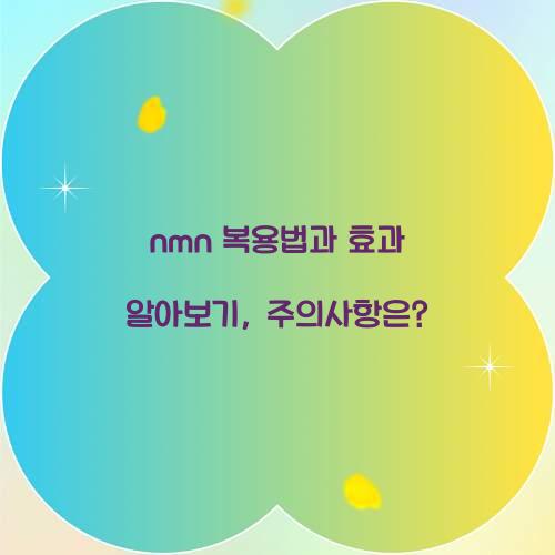 nmn 복용법