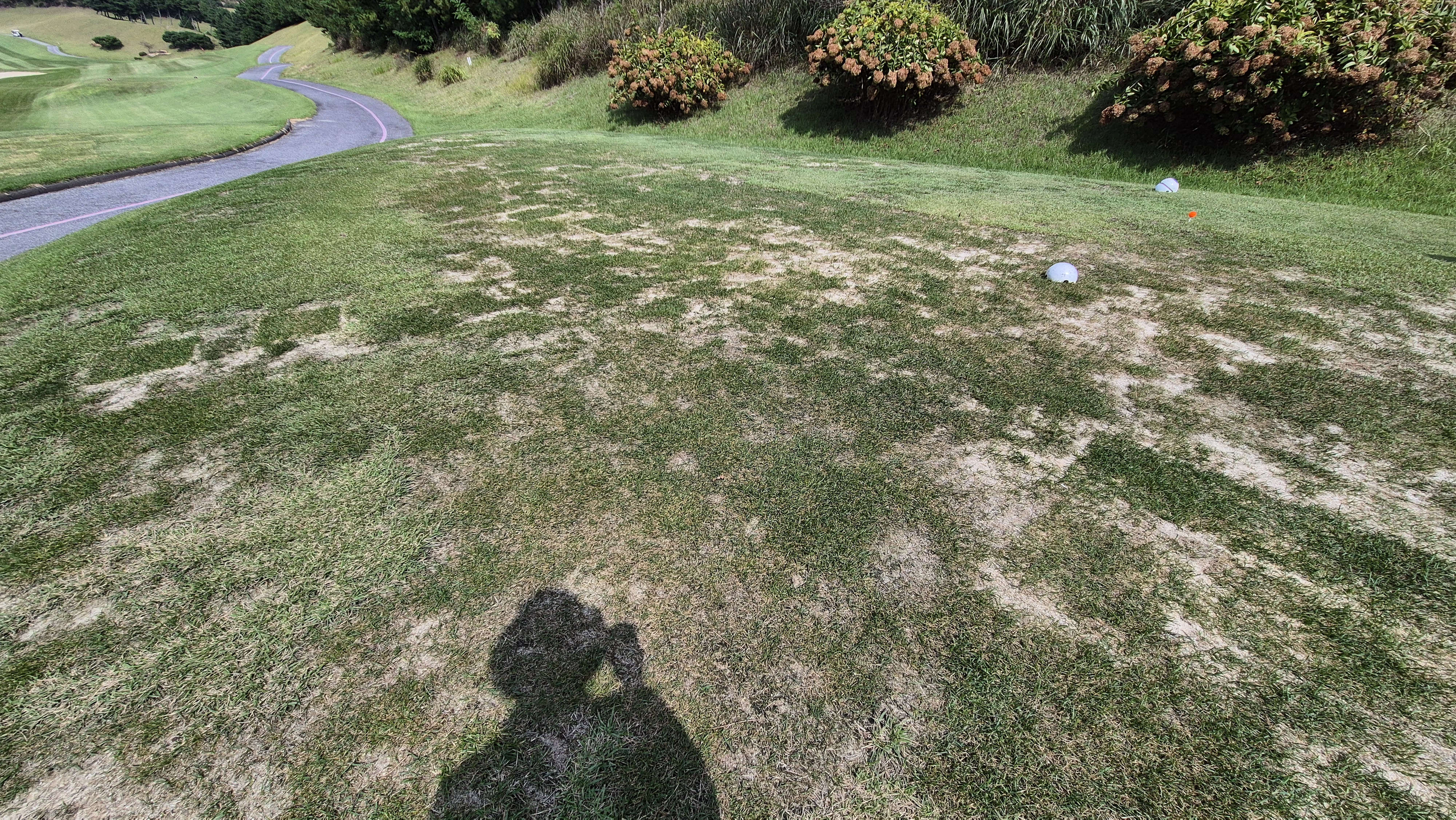 서산수cc 티잉구역 상태