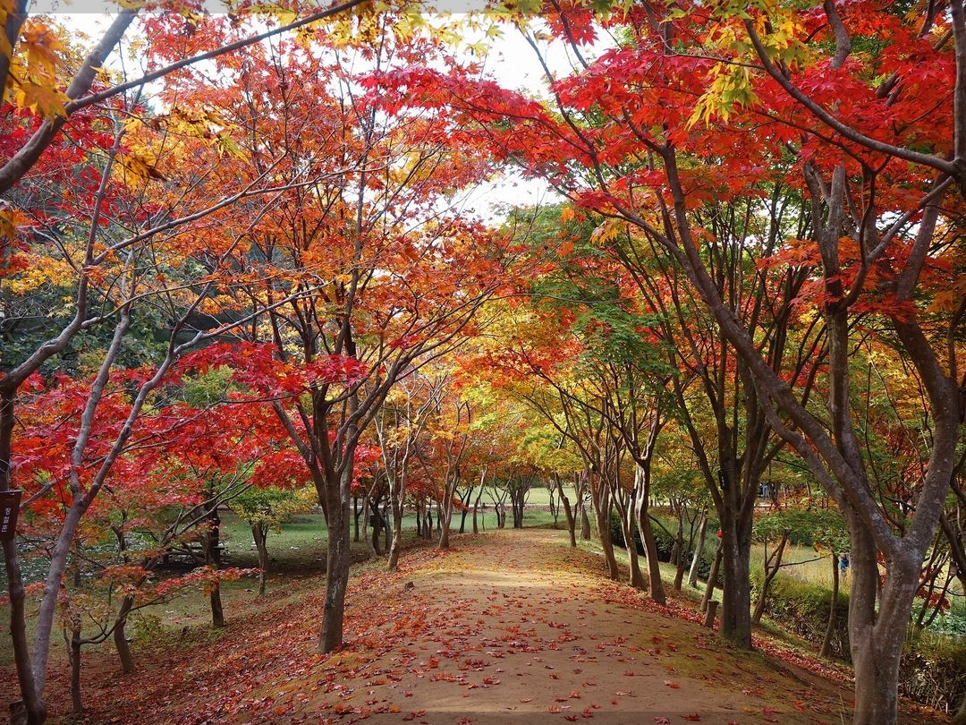 12월 여행지 추천 국내 여행지 추천 10곳