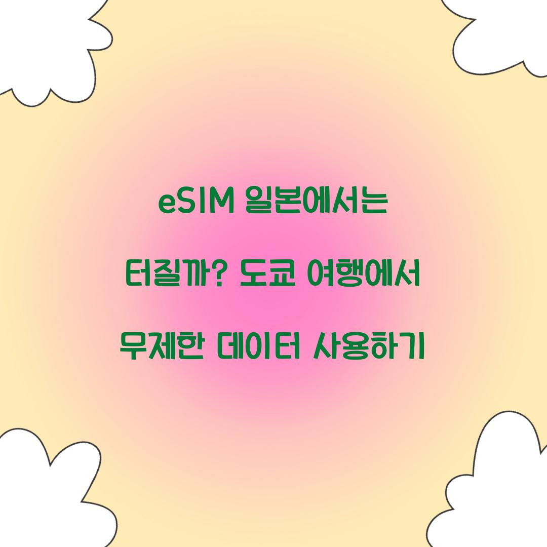 eSIM 일본에서는 터질까