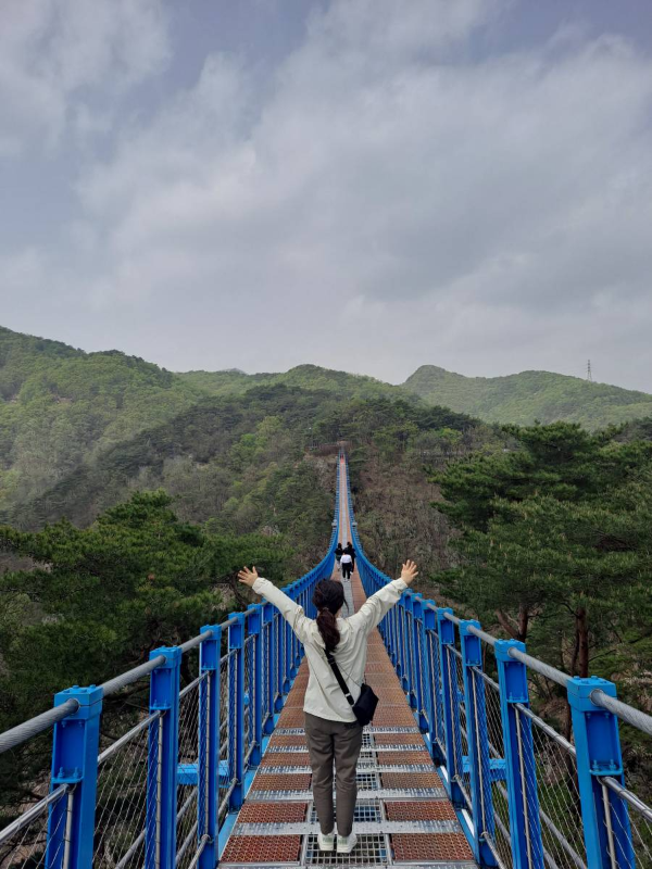 소금산 출렁다리 건너는중