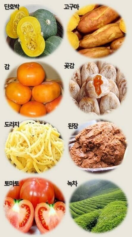 폐암에 좋은 음식