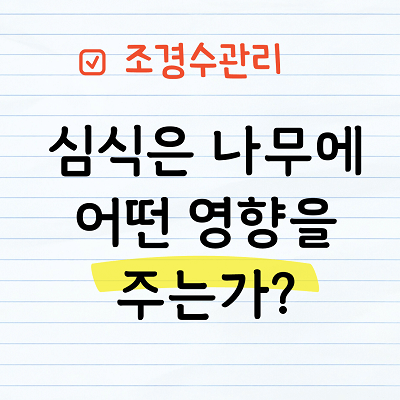 심식은 나무에 어떤 영향을 주는가?