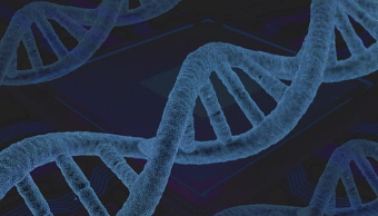 다낭성난소증후군 과 이노시톨 관계