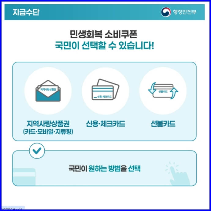 민생회복-소비쿠폰-지급수단.