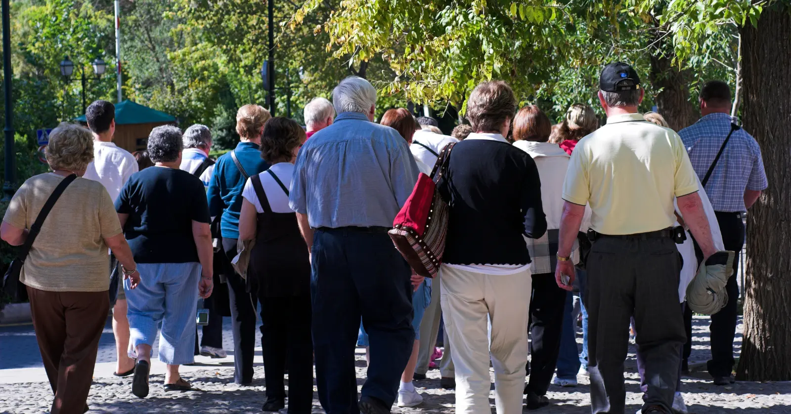 65세이상 노인 혜택