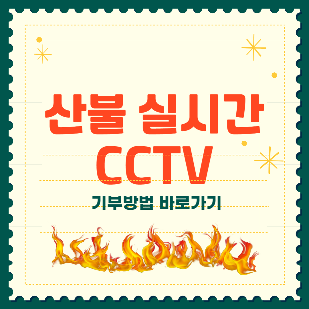 산불 cctv 확인 기부 방법