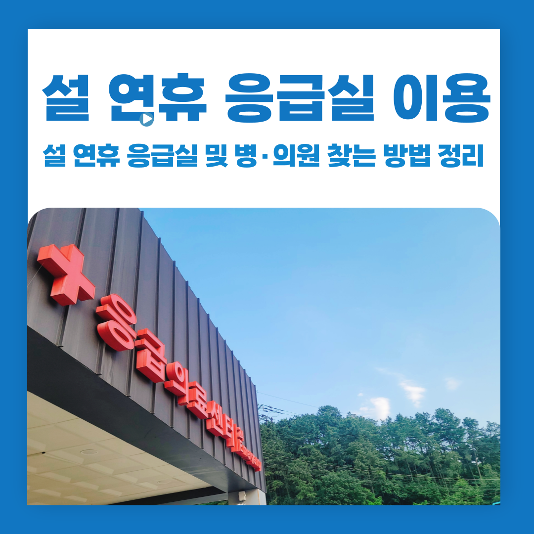 설 연휴 응급실 및 병·의원 찾는 방법 정리