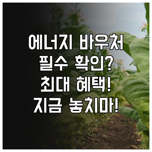 에너지바우처 온라인 신청 전 필수 확..