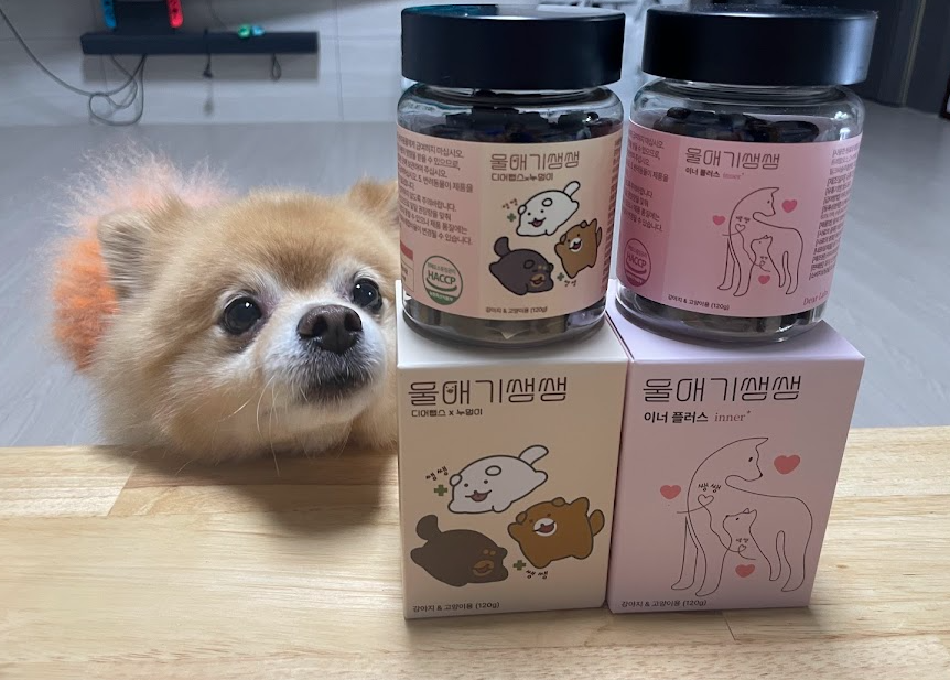 울애기쌩쌩 강아지영양제 내돈내산 후기