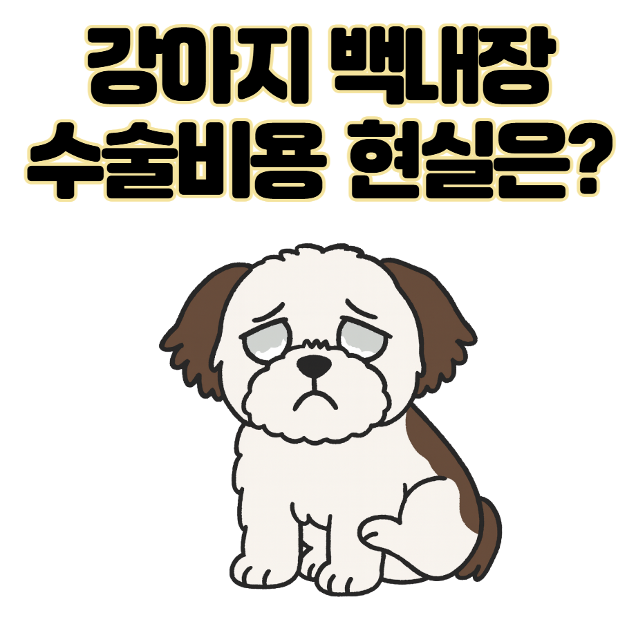 강아지 백내장 수술비용 현실은? 증상·예방법 보호자 가이드
