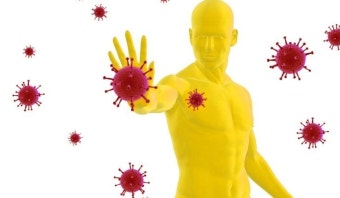 면역력을 표현한 그림