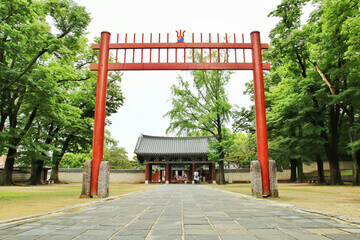 25년 4월 봄꽃여행지추천!!벚꽃 & 유채꽃 절정! 봄꽃 여행지 BEST 6