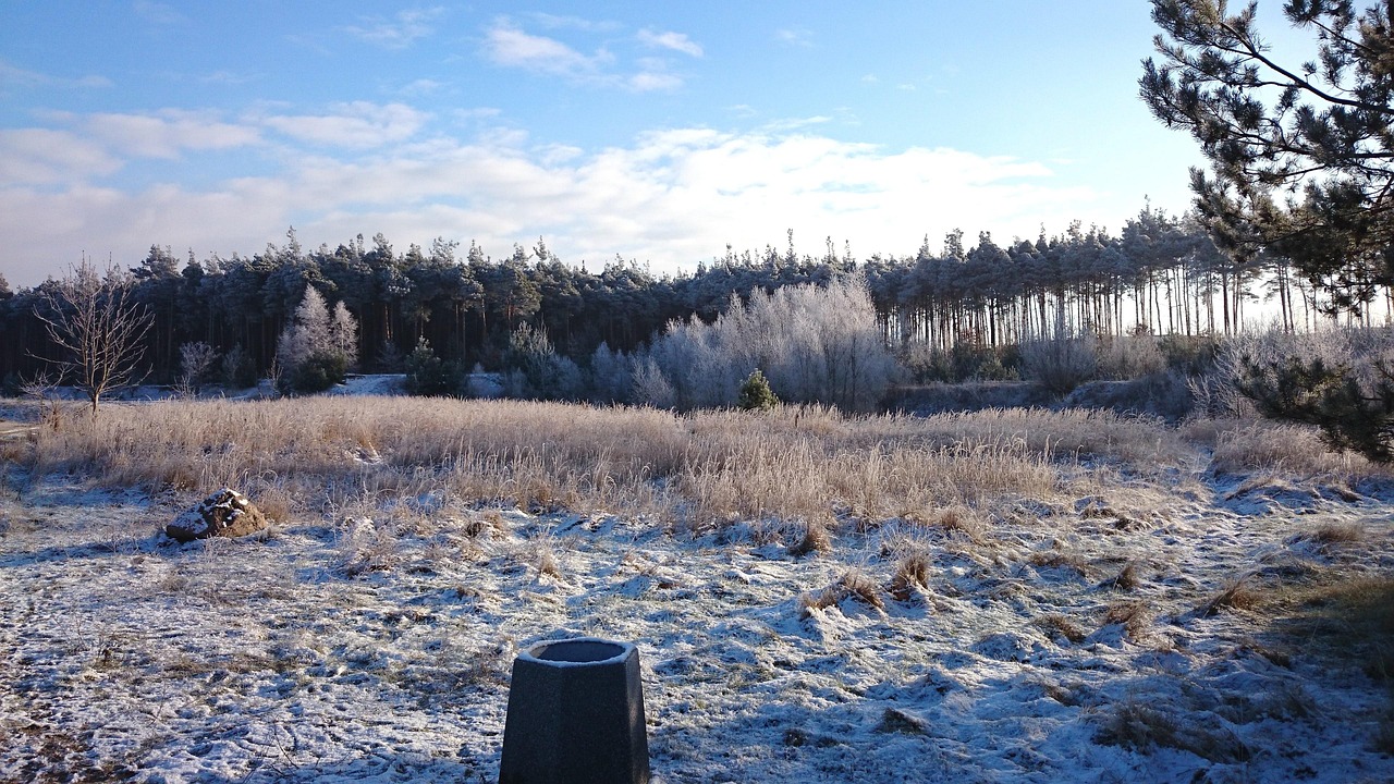 비염에 좋은 영양제